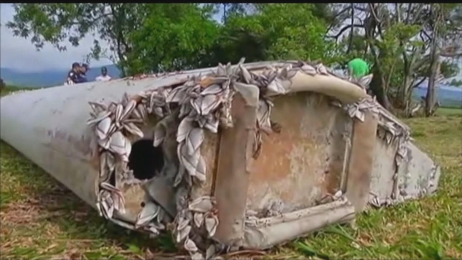 Barnacle growth on recovered structure attributed to MH370